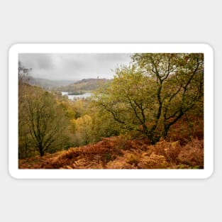 Autumn around Rydal Water Sticker